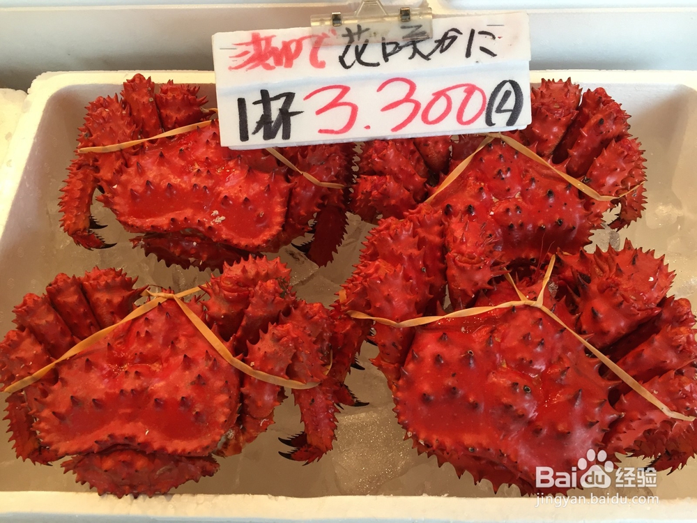 北海道印象之旅