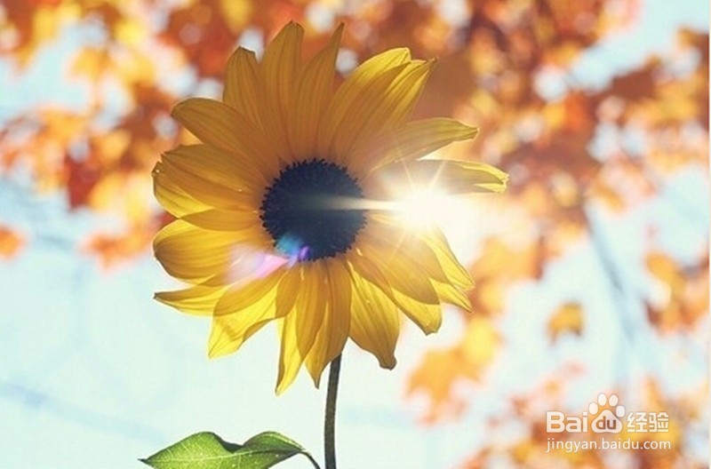 夏季天气太热怎么度过