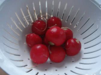 酸甜樱桃小萝卜