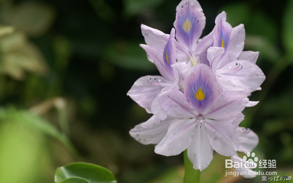 高一生物学习方法