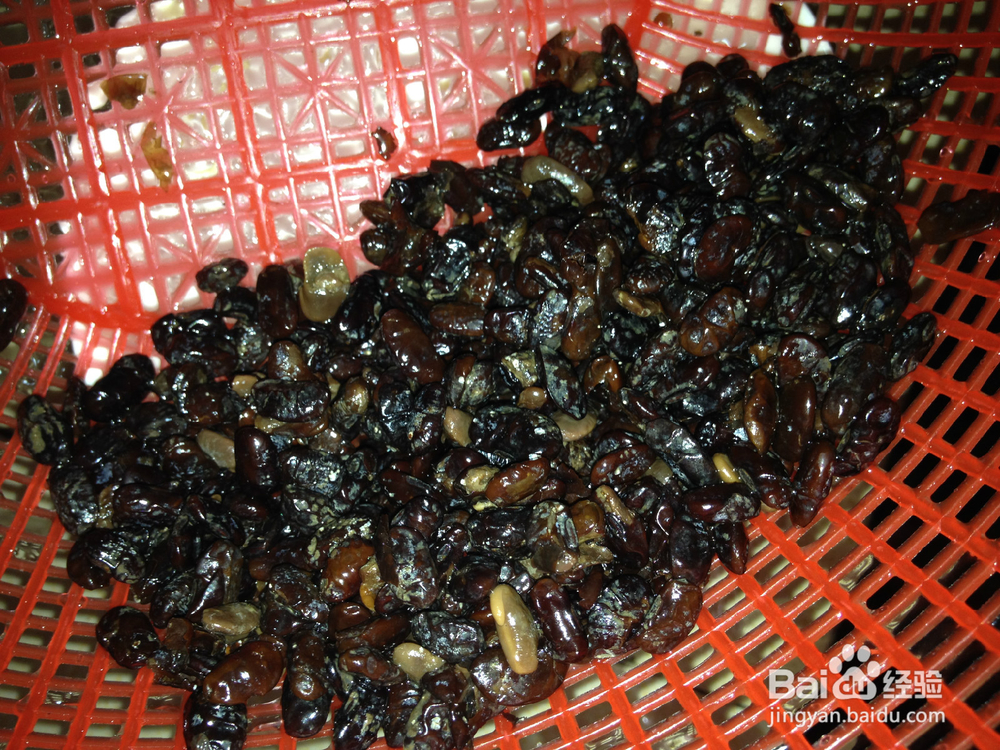 豆豉焖鲤鱼的做法