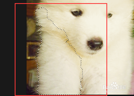 ps6里调整边缘笔刷没效果是为什么