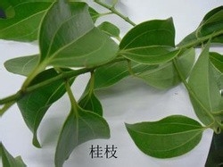 怎样防治手脚脱皮：[1]给生活加点健康