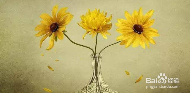单反怎样拍出好看的菊花