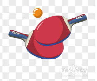 学打乒乓球的基本动作有哪些