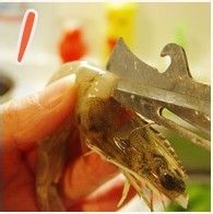 劲爆香辣虾怎么做
