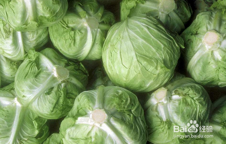 孕期饮食十不宜