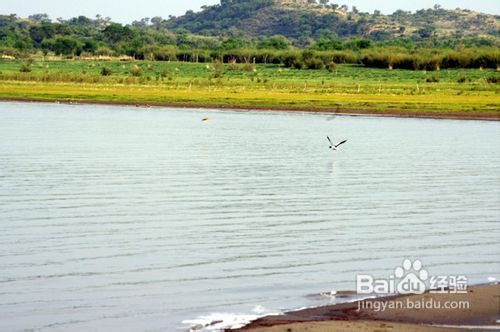 达里诺尔湖旅游攻略