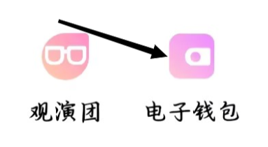 大麦如何查看电子钱包