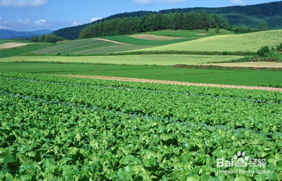 如何远离秋日的昏昏欲睡