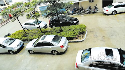 小区收停车费合理吗