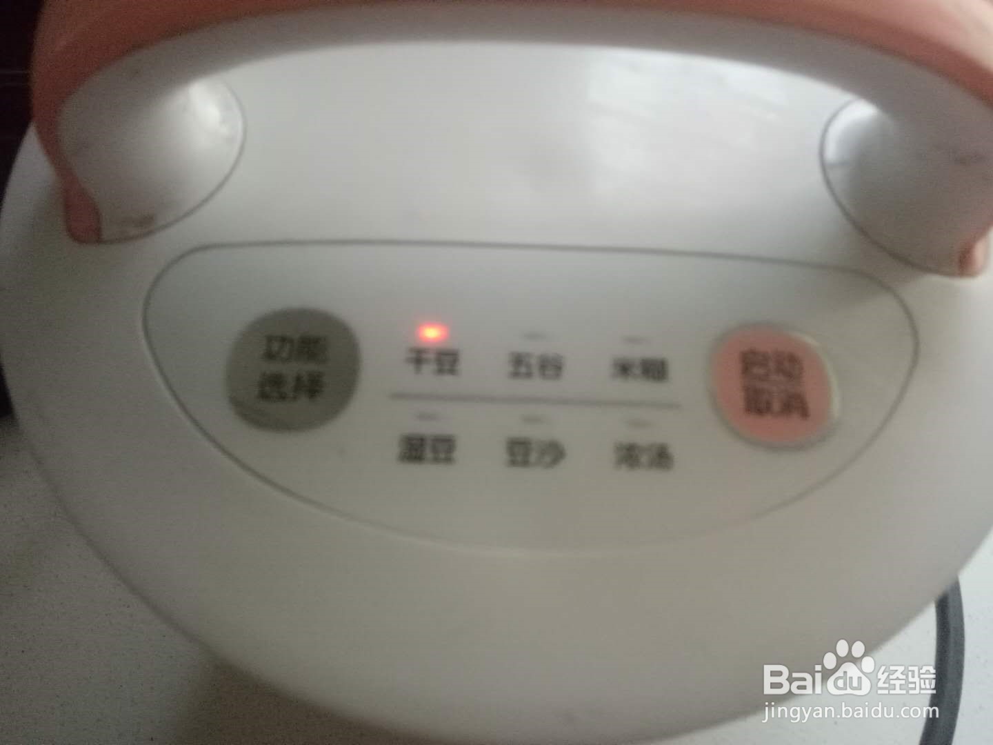 如何打出醇香可口的红枣黑豆豆浆
