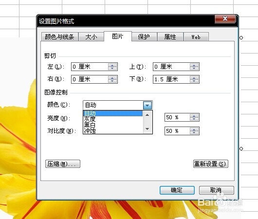 excel教程之入门(62)剪切图片