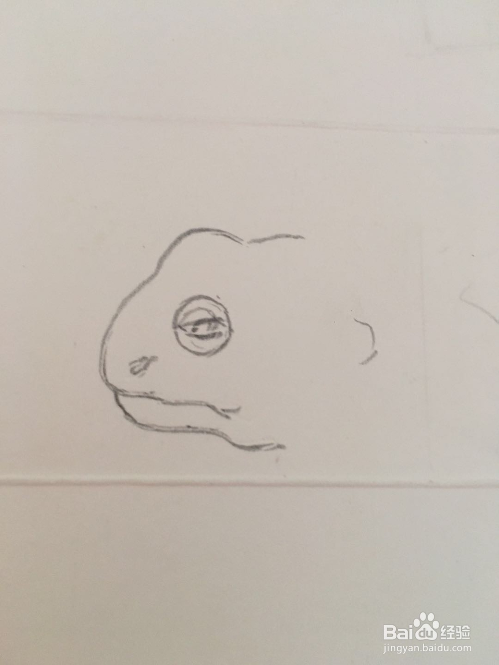 怎样画一个蟾蜍的简单彩笔画