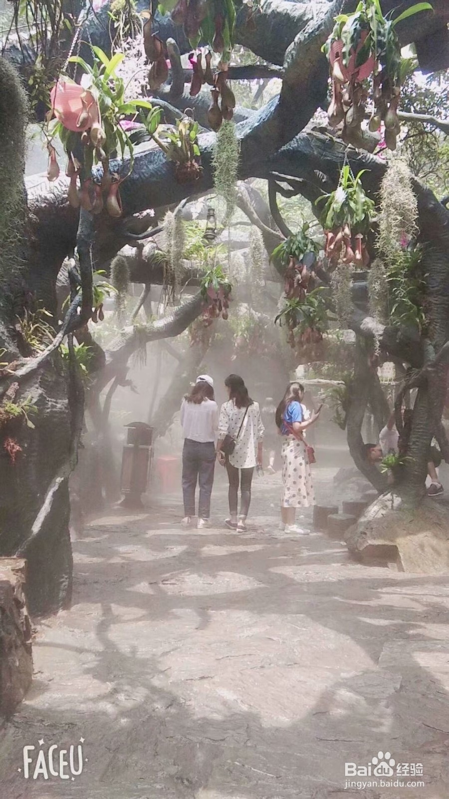 清远古龙峡游玩介绍