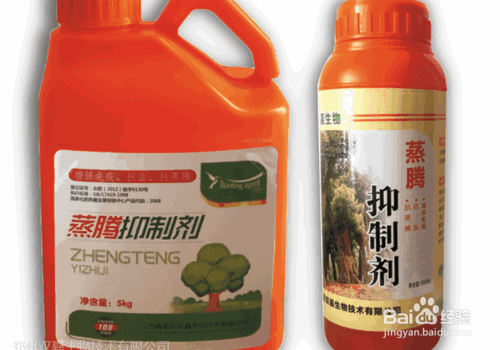 树木栽植中各类养护药剂的应用技术