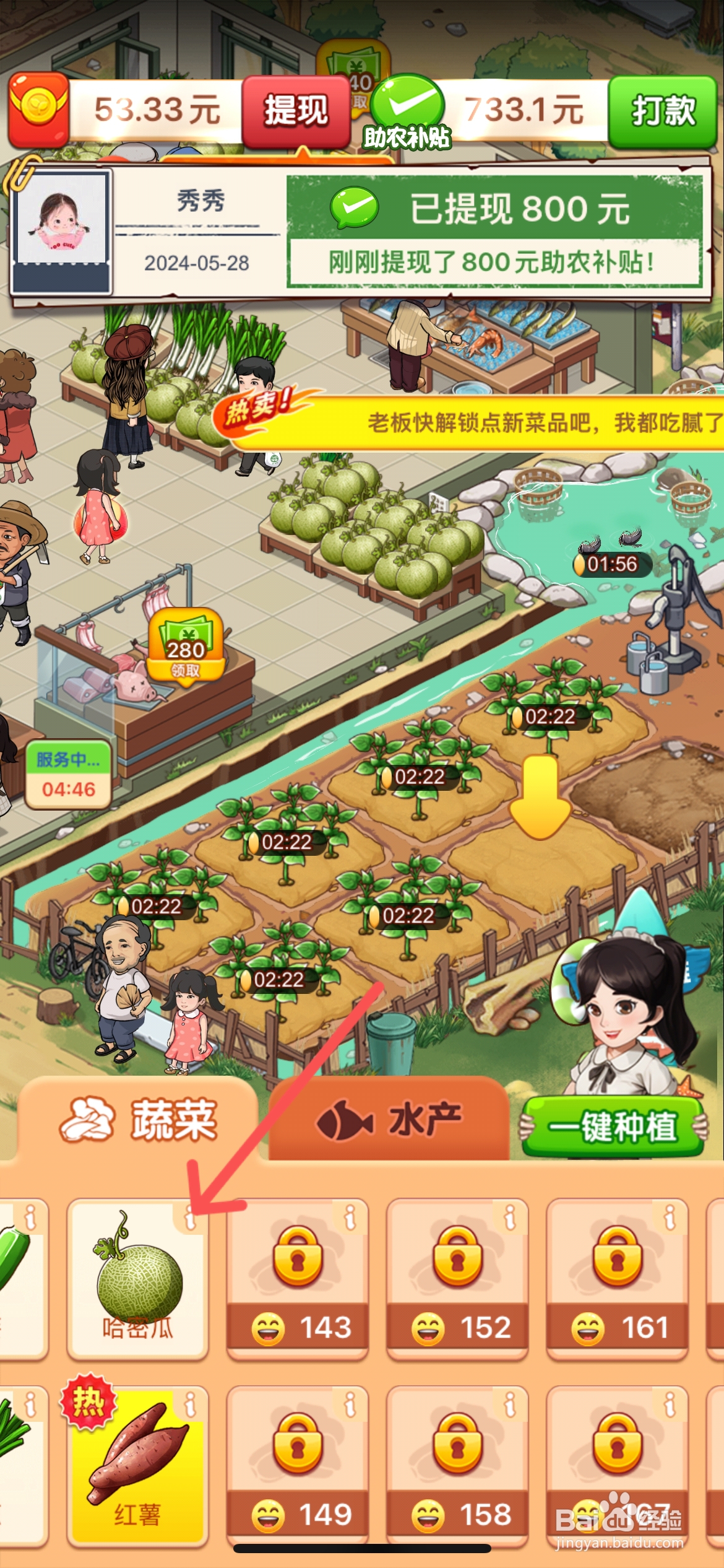 如何在向往的小农院土地上种植甜甜的哈密瓜