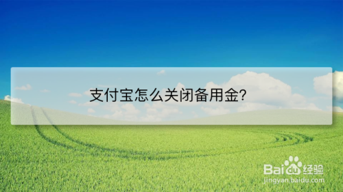 支付宝怎么关闭备用金