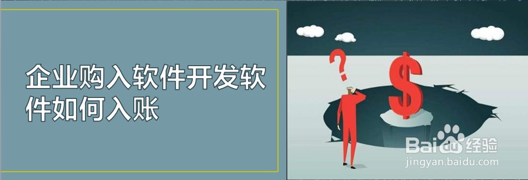 企业购入软件开发软件如何入账