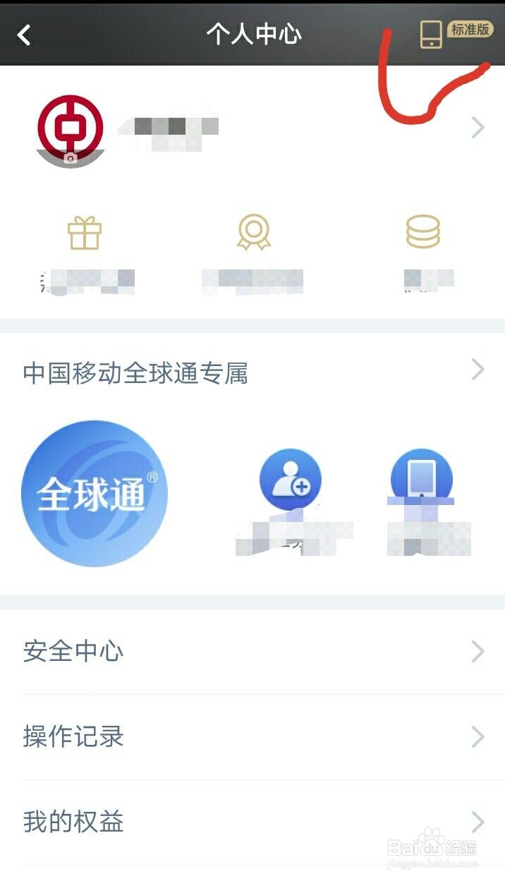 中国银行如何切换甄玉版和标准版？