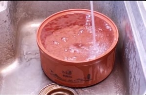 教你怎么做安全绿色又美味的碗豆苗