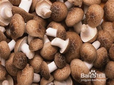 保护牙齿吃什么好