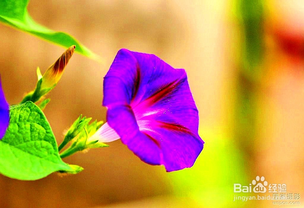 新站的整站规划