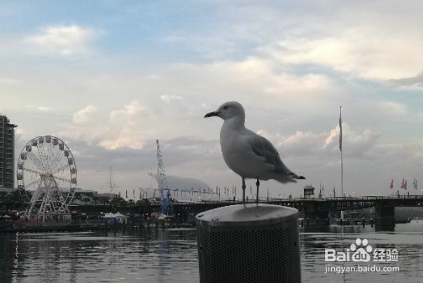 悉尼达令港游客中心