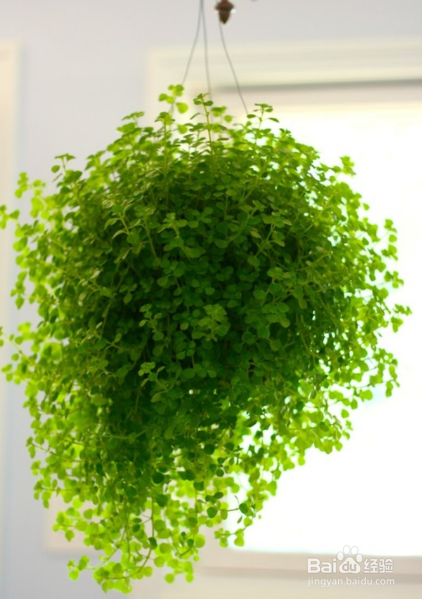 冬季护肤的小细节？