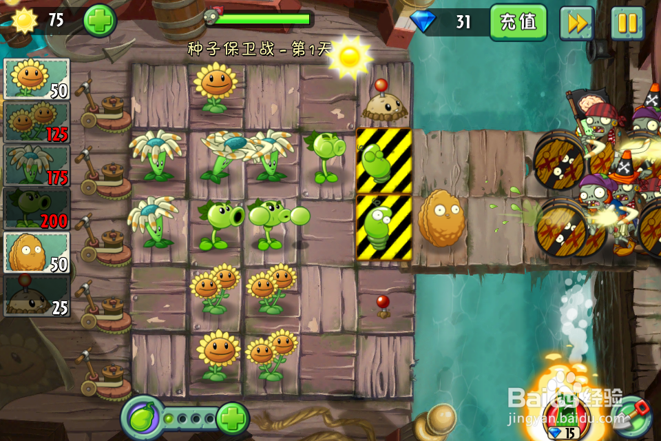 植物大战僵尸2:种子保卫战第1天(海盗港湾)