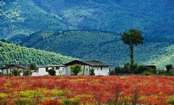 春节到丽江旅游要掌握好哪些旅游常识