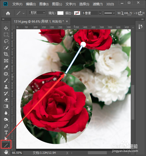 ps怎么做局部放大效果