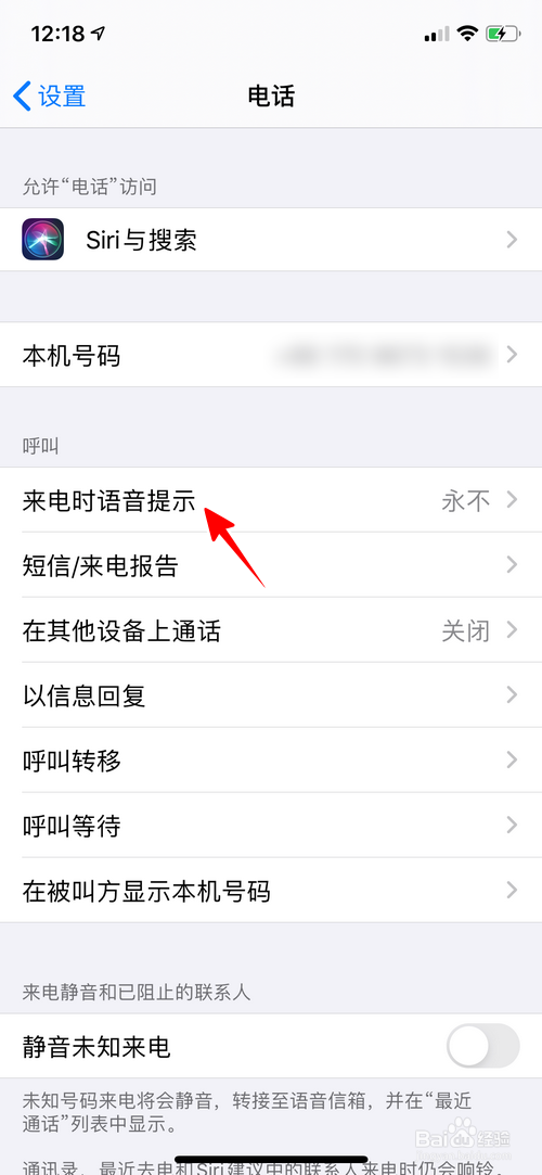 苹果手机怎样开启来电语音提示