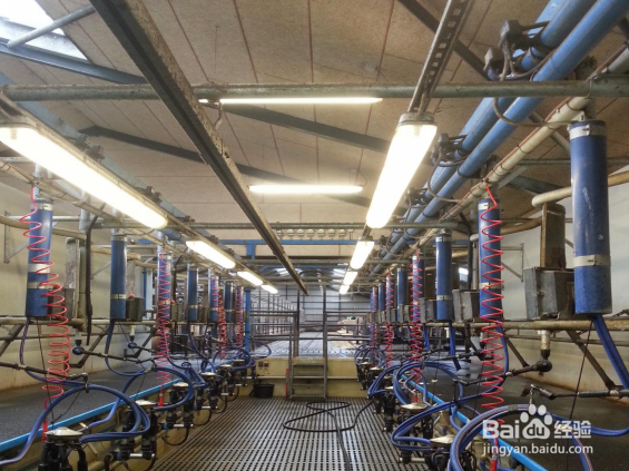 有机奶粉哪种好？ 教你几招挑选小妙招