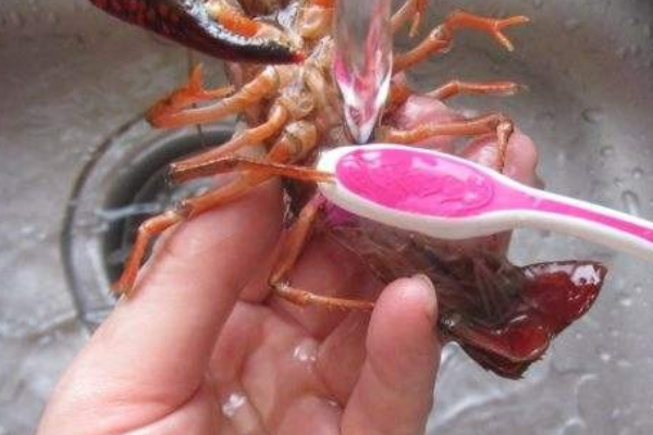 清蒸小龙虾的做法是怎样的