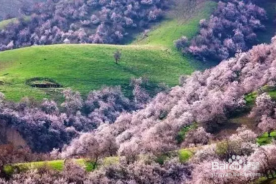 快来看看有哪些地方适合清明小长假出行吧