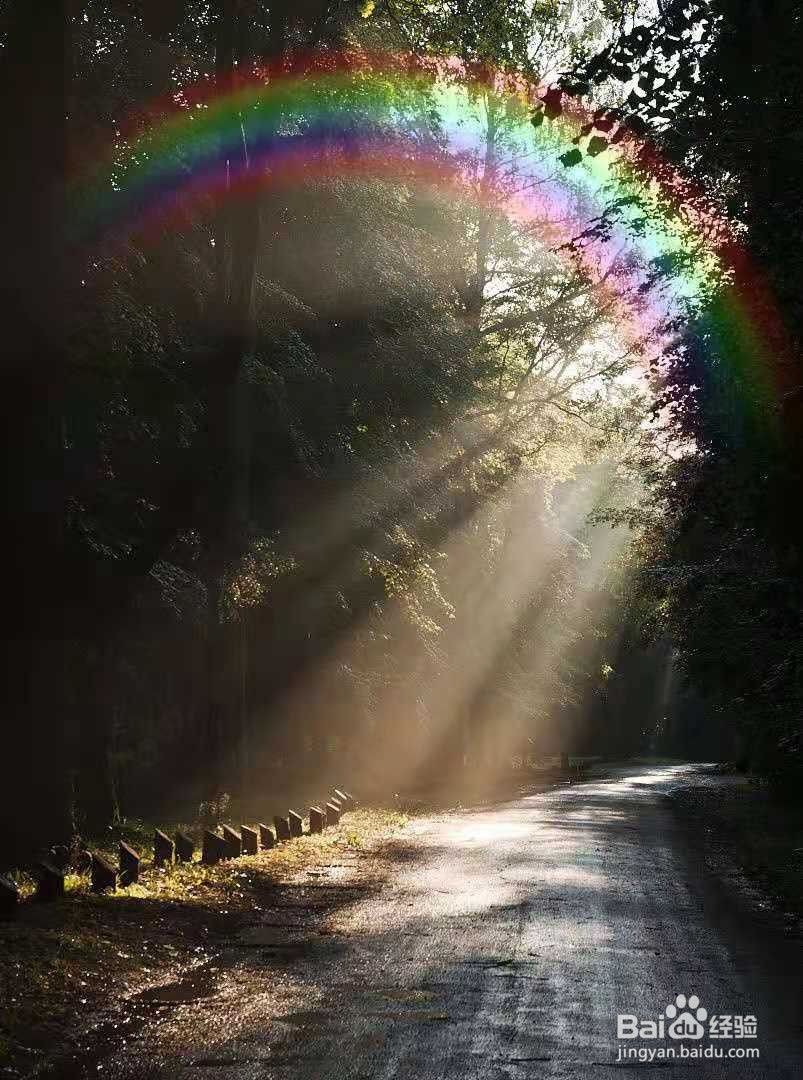 拍婚纱照下雨天怎么办