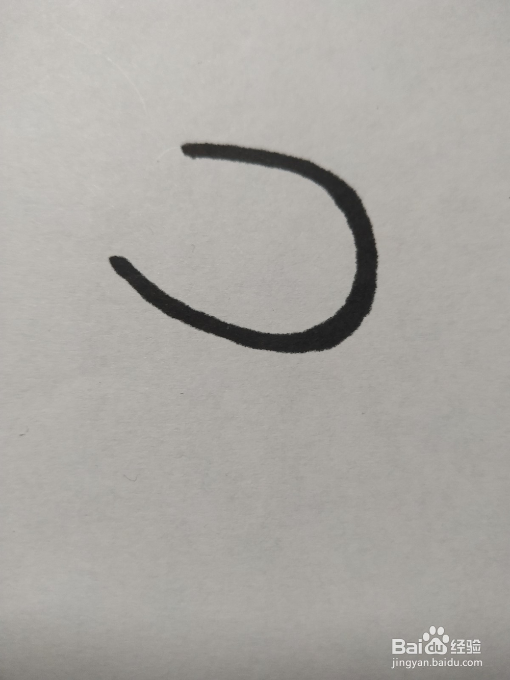 毛驴的简笔画技法八