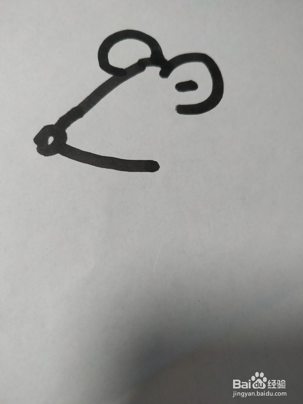 老鼠的简笔画技法38