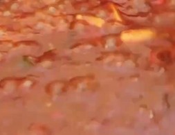 红烧鳊鱼家庭版