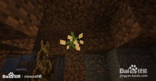 我的世界暮色森林攻略 百度经验