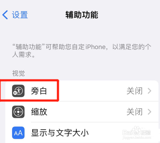 苹果旁白怎么输出八点式盲文