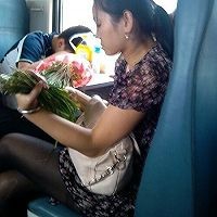 北极虾韭菜盒子