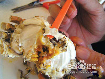 大闸蟹怎么吃之完美法十步法