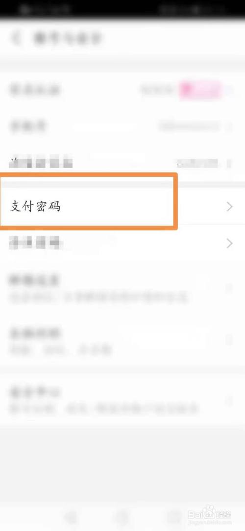 支付宝怎么查看支付密码