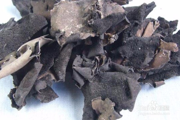 石耳的营养价值