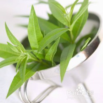 能减轻压力的食物有哪些