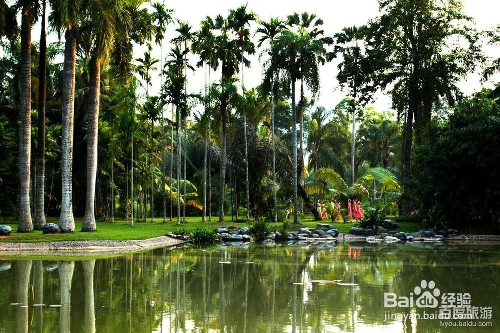 西双版纳旅游攻略