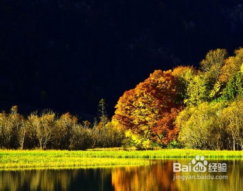 九寨沟四日游特价线路推荐