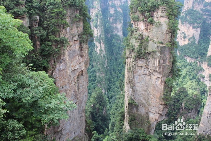 毕节到张家界自驾游